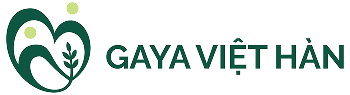 Gaya Việt Hàn
